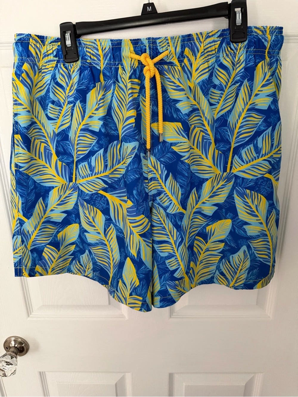 Capelli of New York Blue & Yellow Tropical Swim Shorts